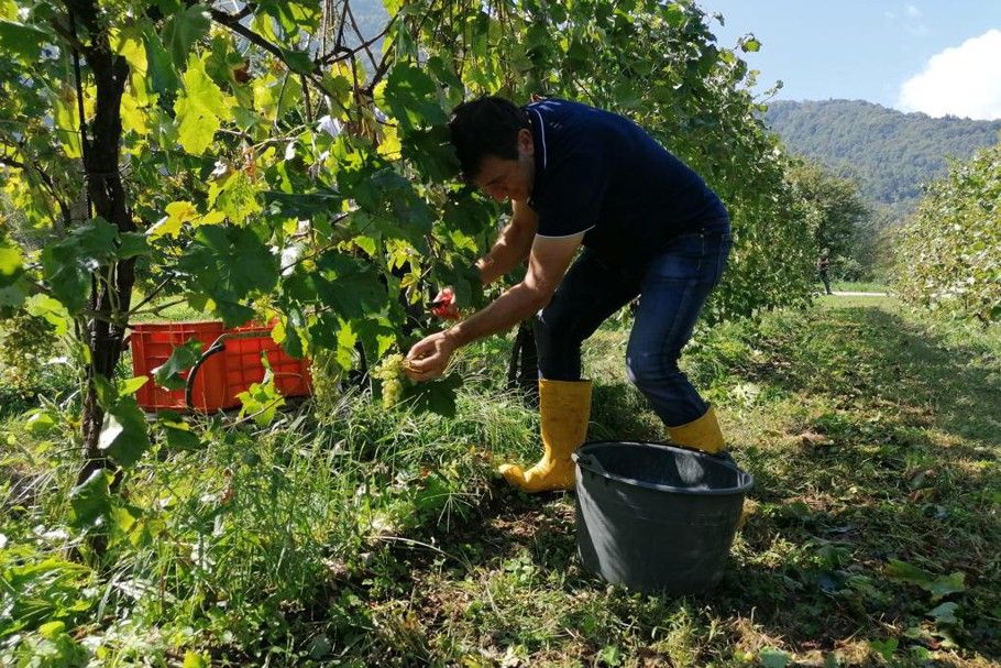 Podere Castello Aurin - Concorso Conegliano