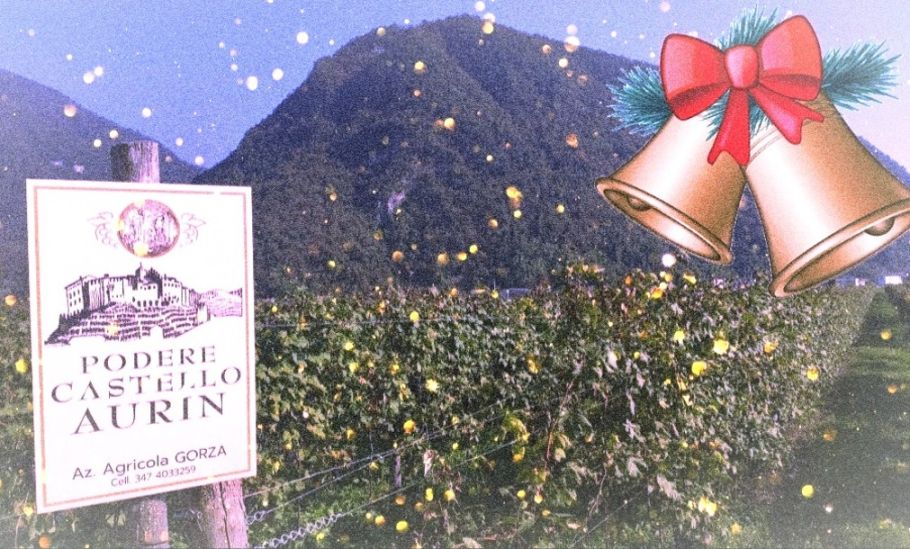 Podere Castello Aurin - Natale 2023