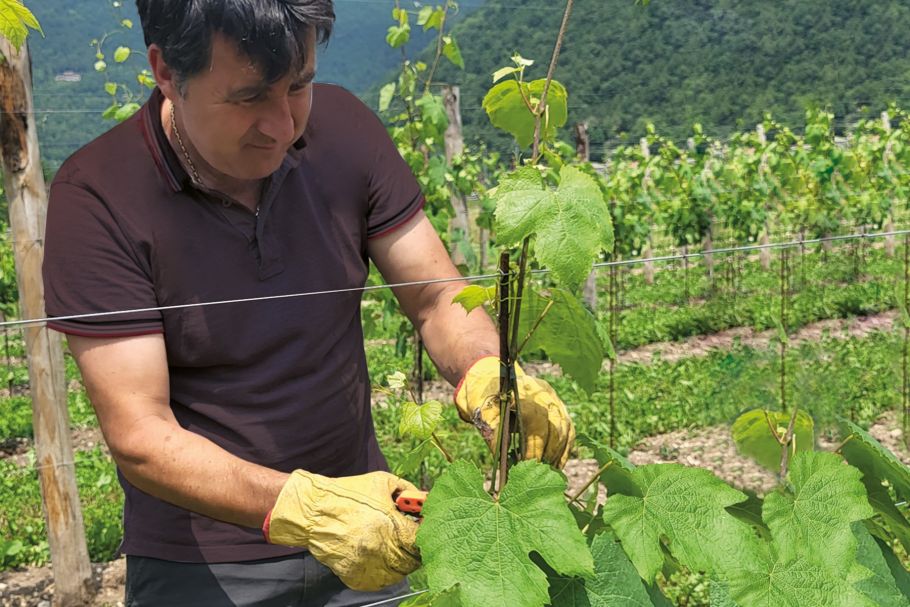 Podere Castello Aurin - Famiglia - Passione