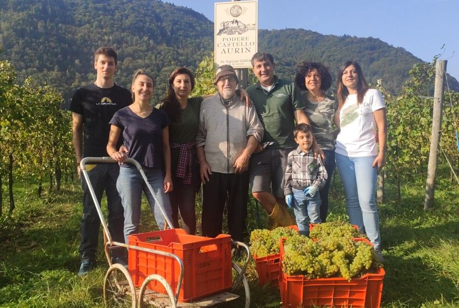 Podere Castello Aurin premiato a Conegliano