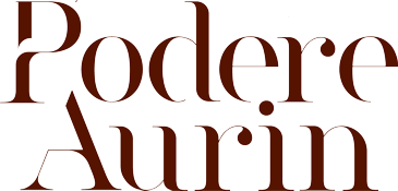 Logo Podere Aurin
